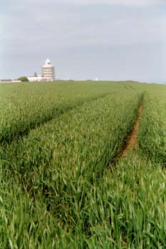 Fields near Dover